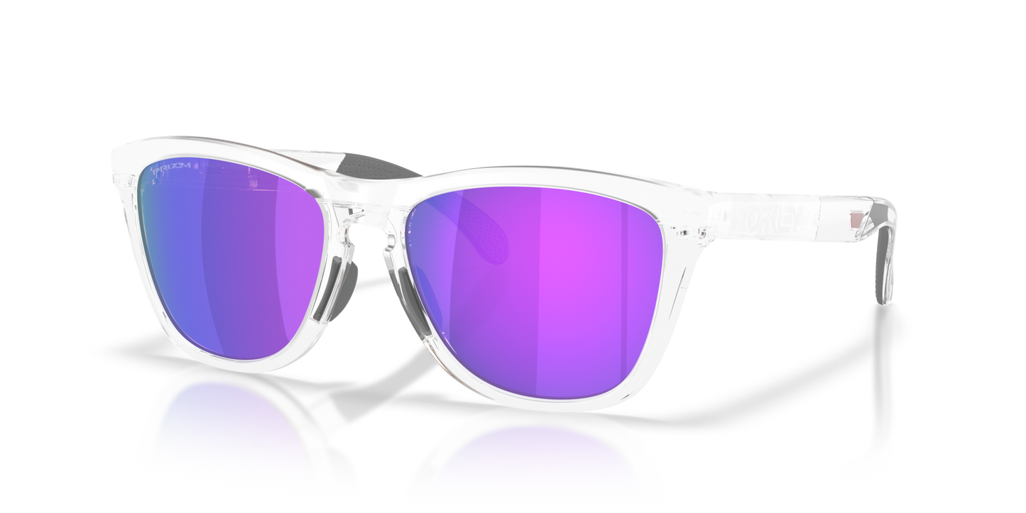 Oakley Frogskins Range XL Glasses