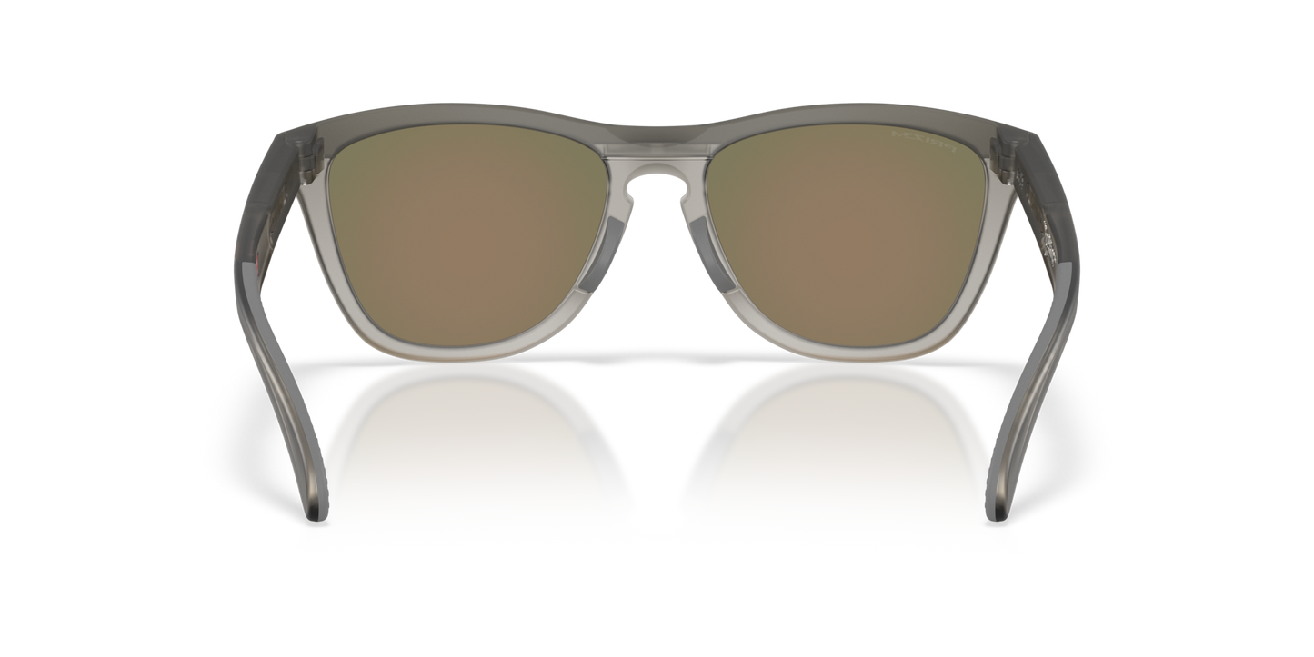 Oakley Frogskins Range XL Glasses
