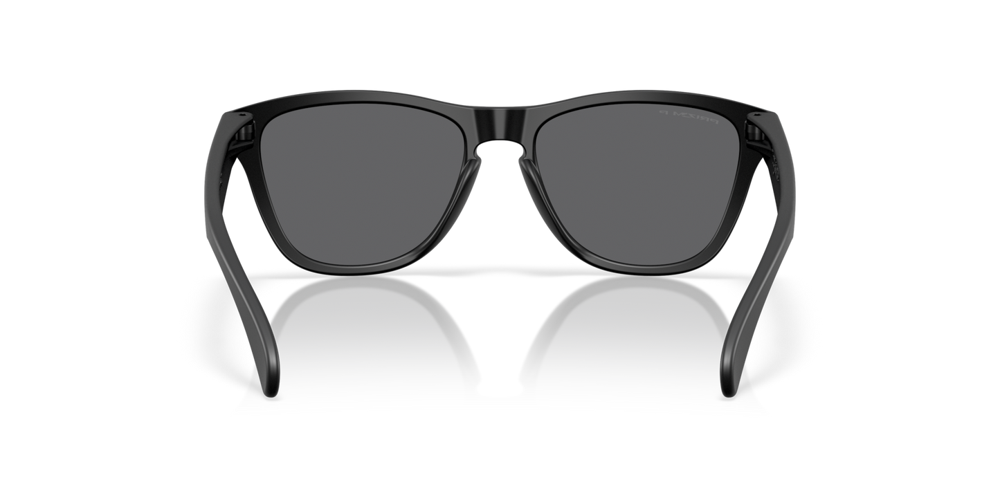 Oakley Frogskins S Glasses