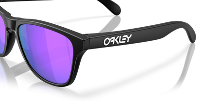 Oakley Frogskins S Glasses