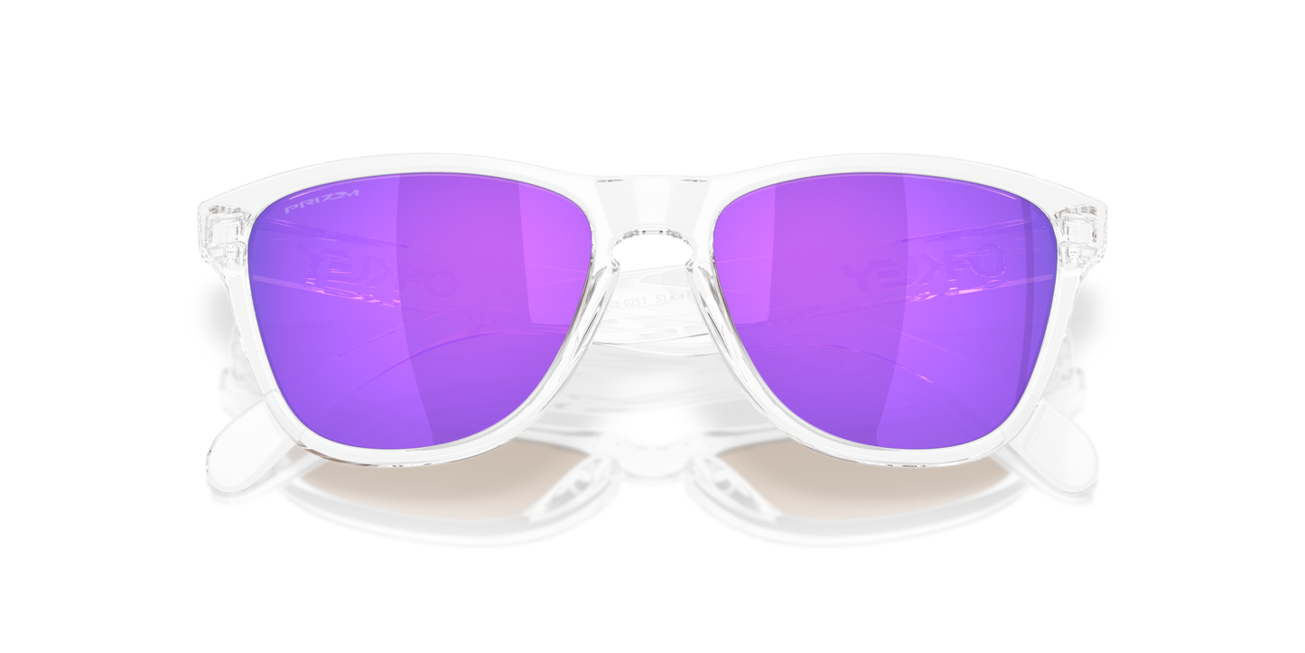 Oakley Frogskins S Glasses