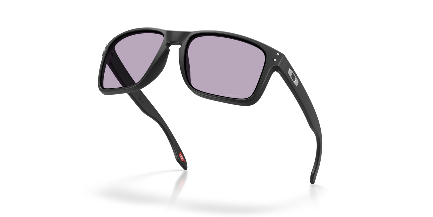 Oakley Holbrook XL Glasses