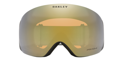 Oakley Flight Deck L Snow Goggles