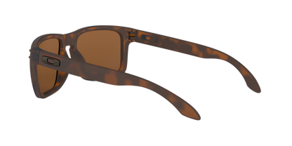 Oakley Holbrook Glasses