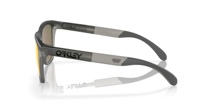 Oakley Frogskins Range A Glasses
