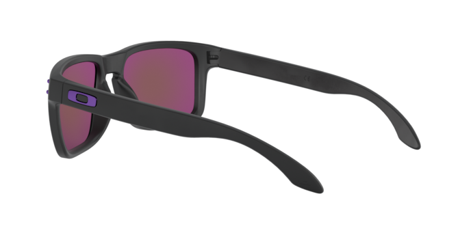 Oakley Holbrook Glasses