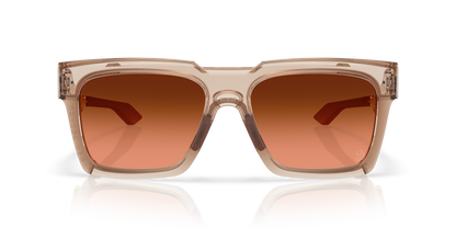 Oakley Enigma Ink Glasses