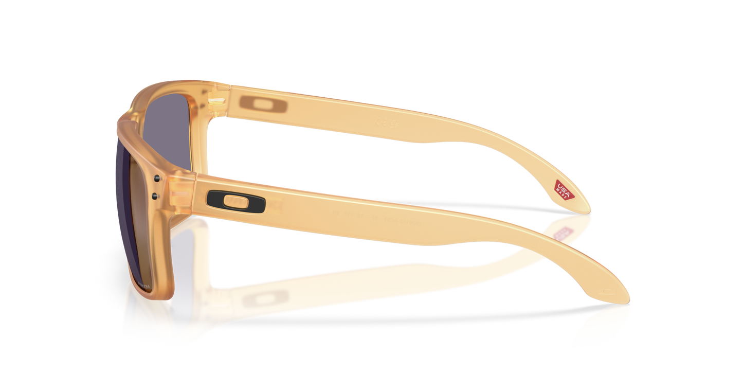 Oakley Holbrook Glasses