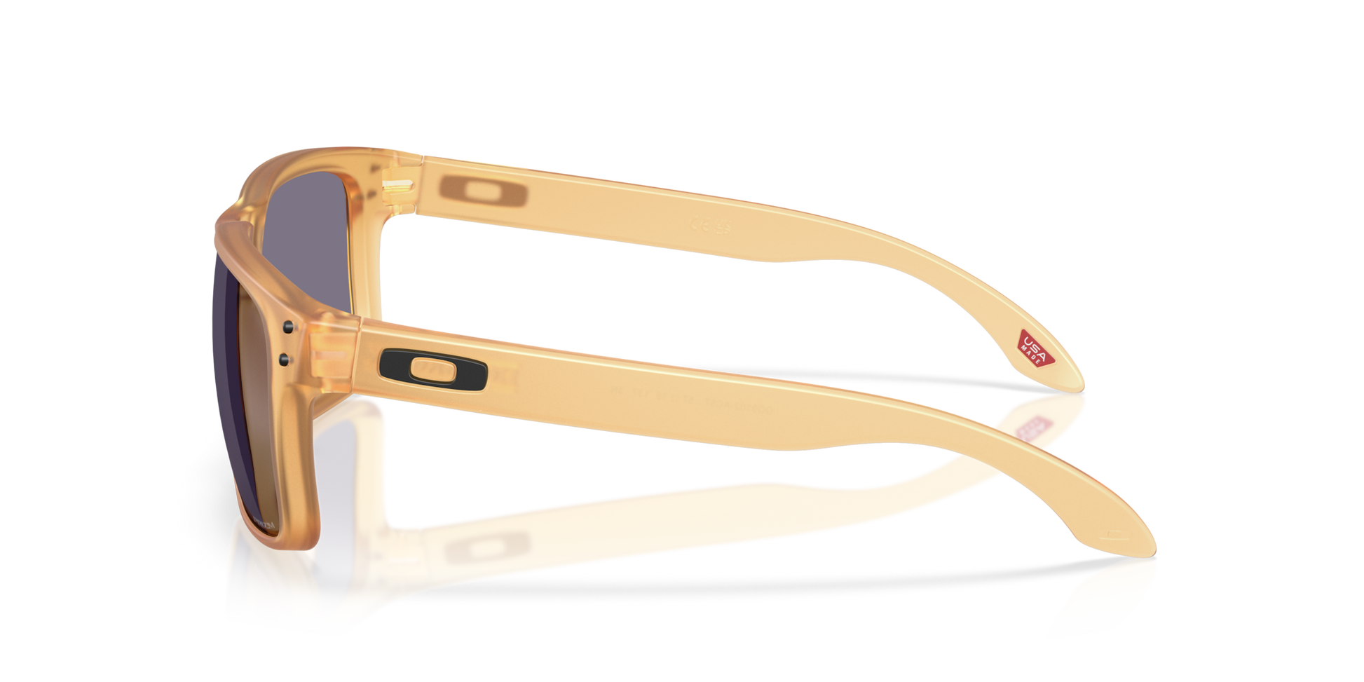 Oakley Holbrook Glasses