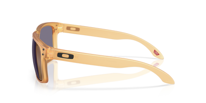 Oakley Holbrook Glasses