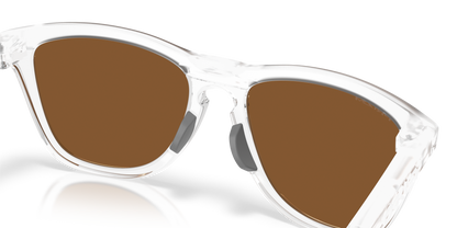 Oakley Frogskins Range XL Glasses