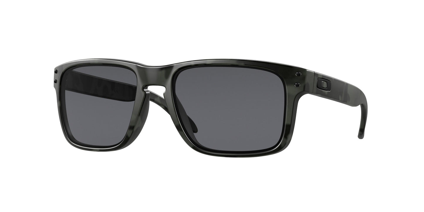 Oakley Holbrook Glasses