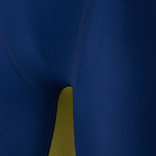 Mizuno Men's GX Sonic Royal SF Swimsuit