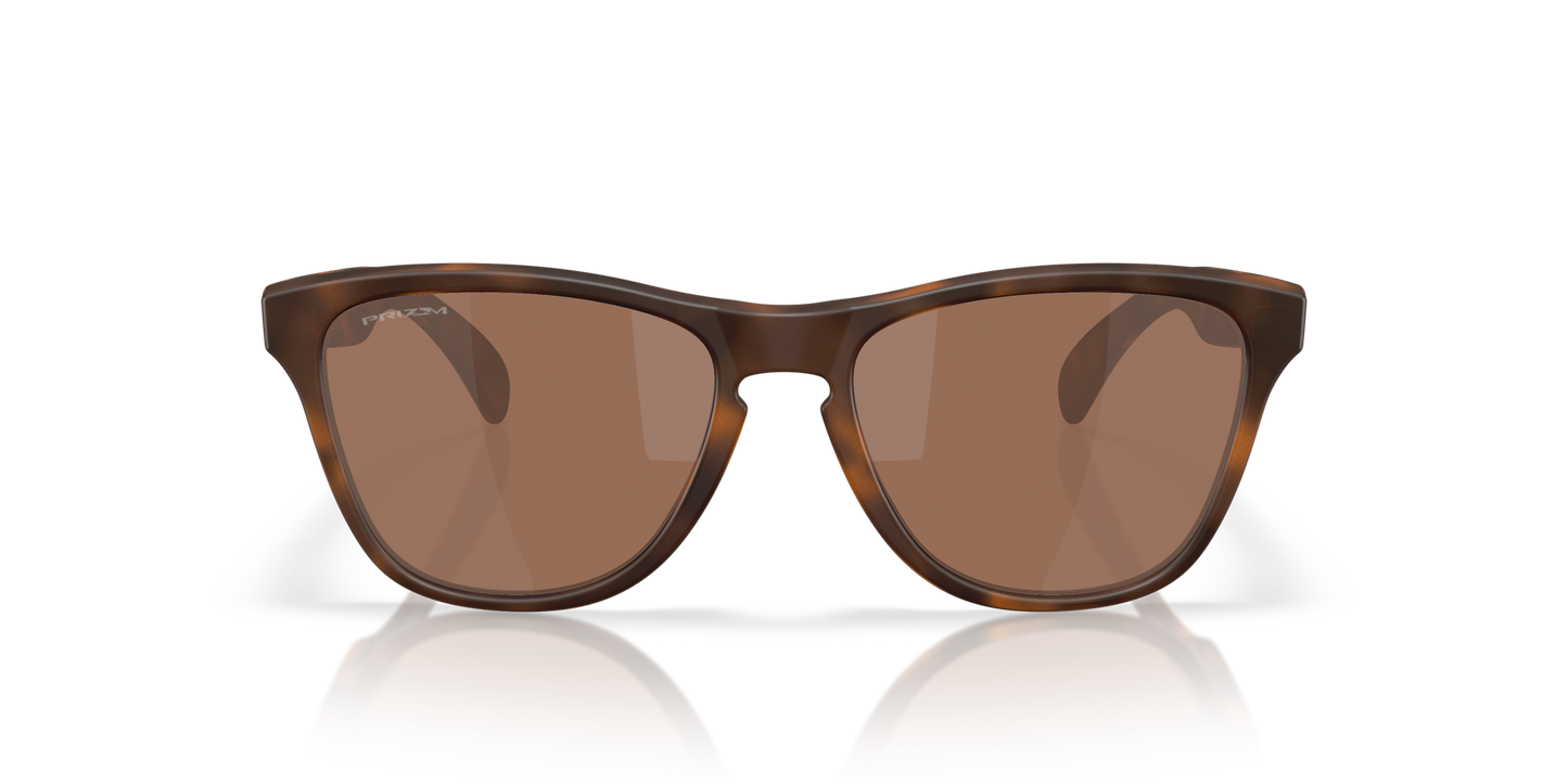 Oakley Frogskins S Glasses