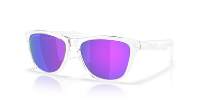Oakley Frogskins S Glasses