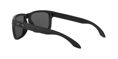 Oakley Holbrook Glasses