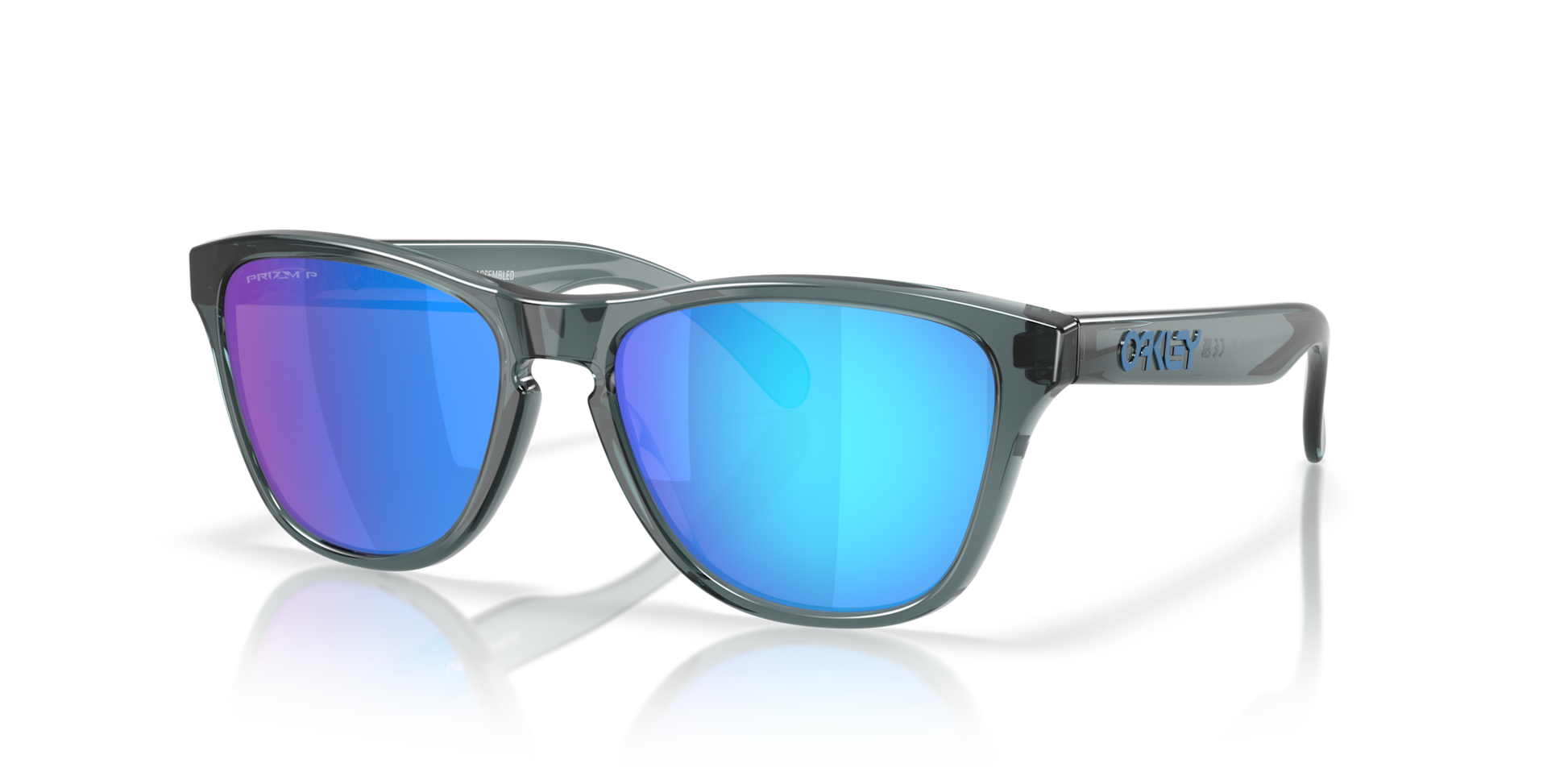 Oakley Frogskins S Glasses