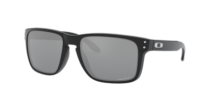 Oakley Holbrook XL Glasses