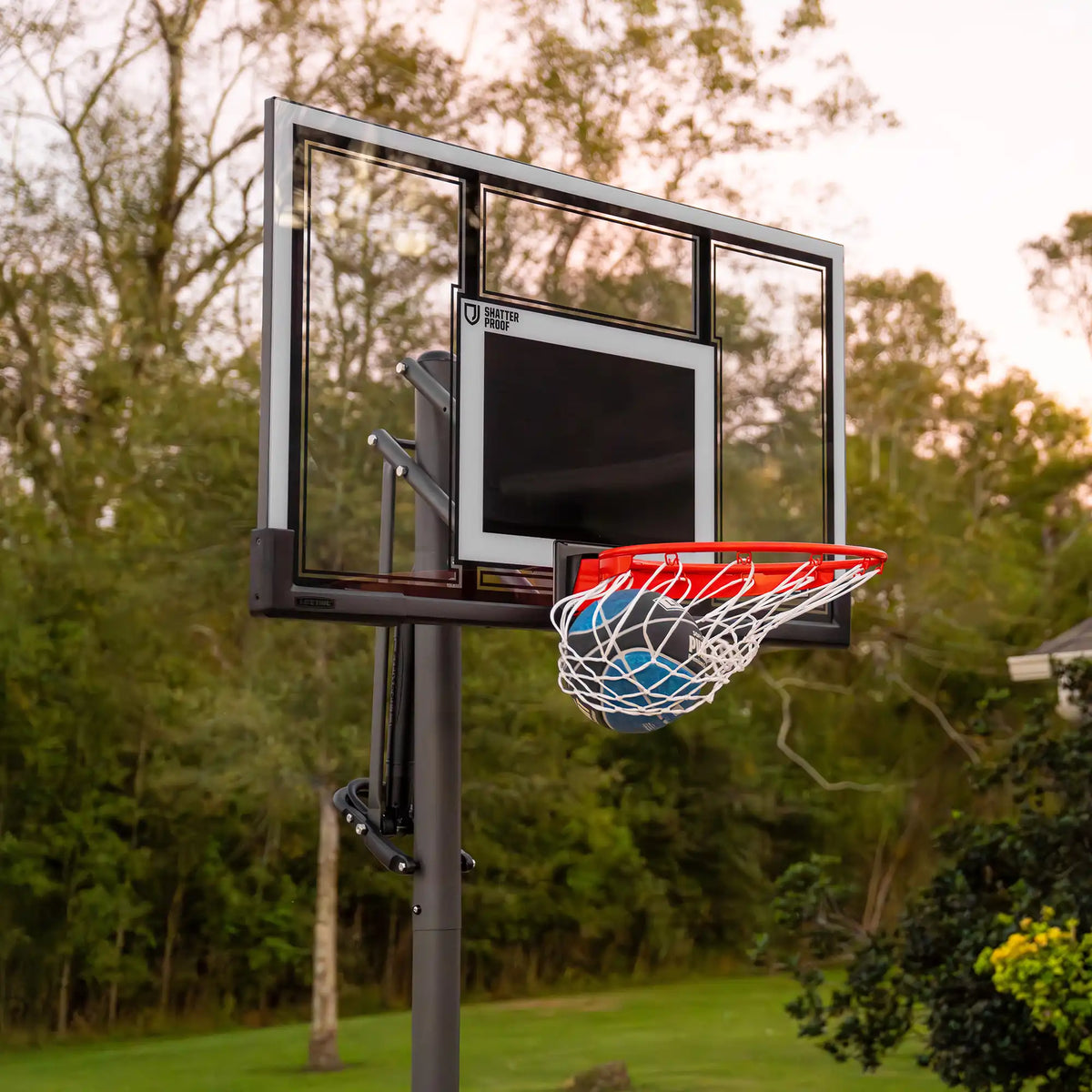 Lifetime Adjustable Portable Basketball Hoop (54-Inch Polycarbonate)