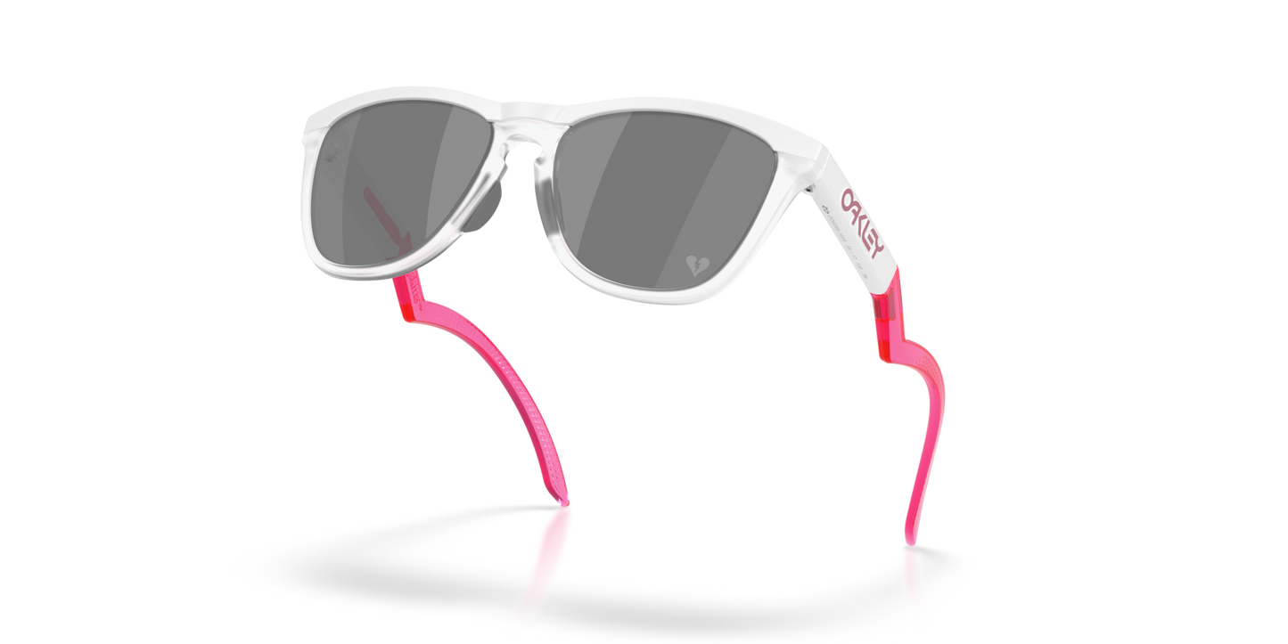 Oakley Frogskins Hybrid Glasses