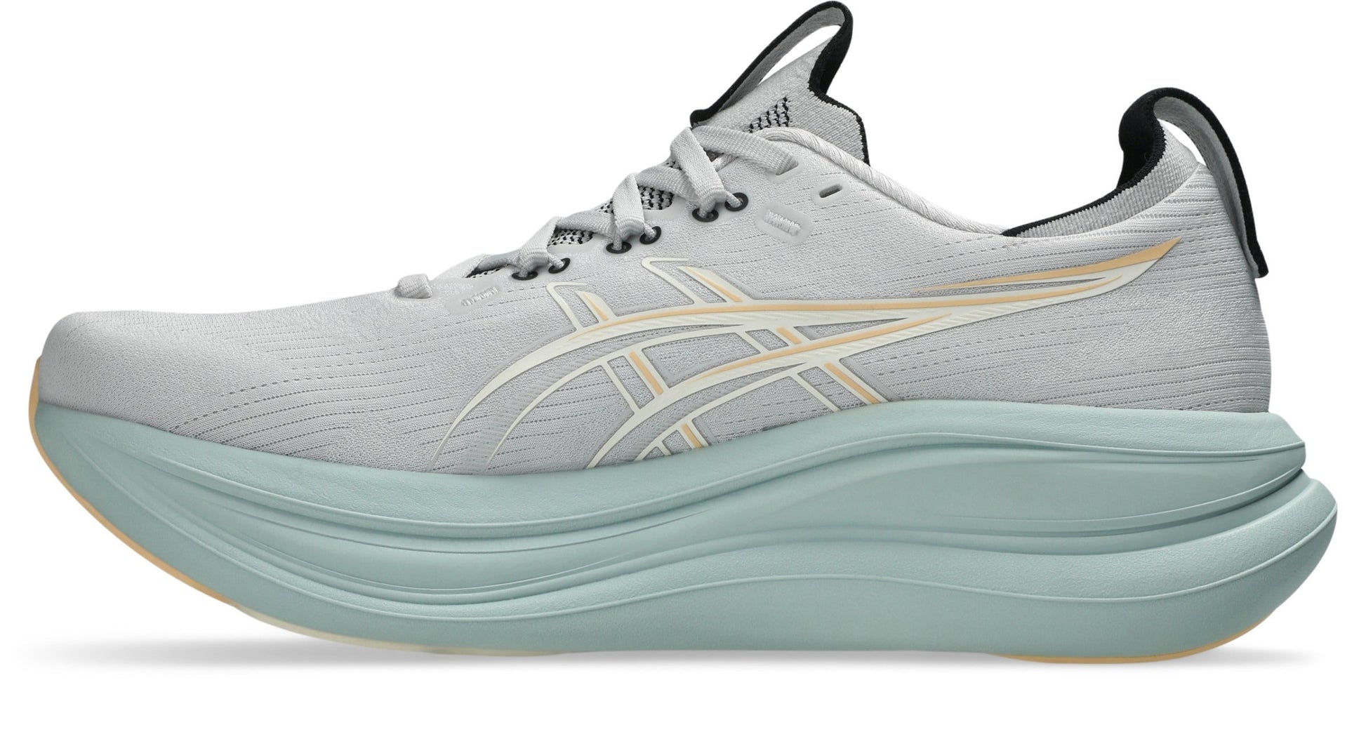 Asics Men's GEL-Nimbus 28 Running Shoes