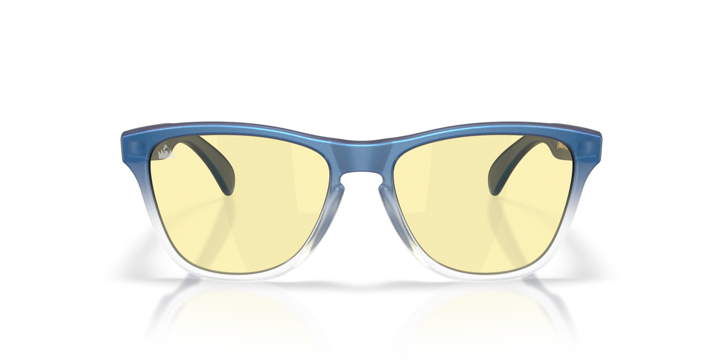 Oakley Frogskins S Glasses