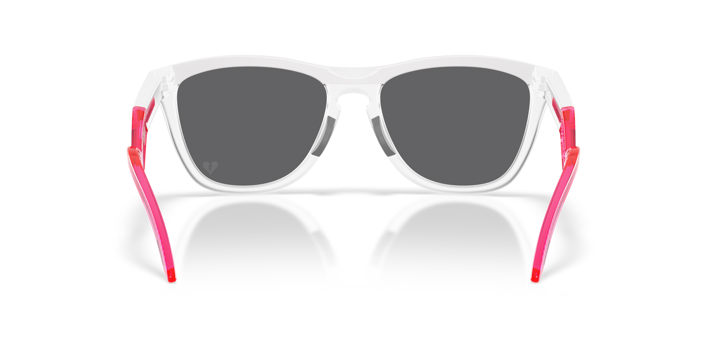 Oakley Frogskins Hybrid Glasses