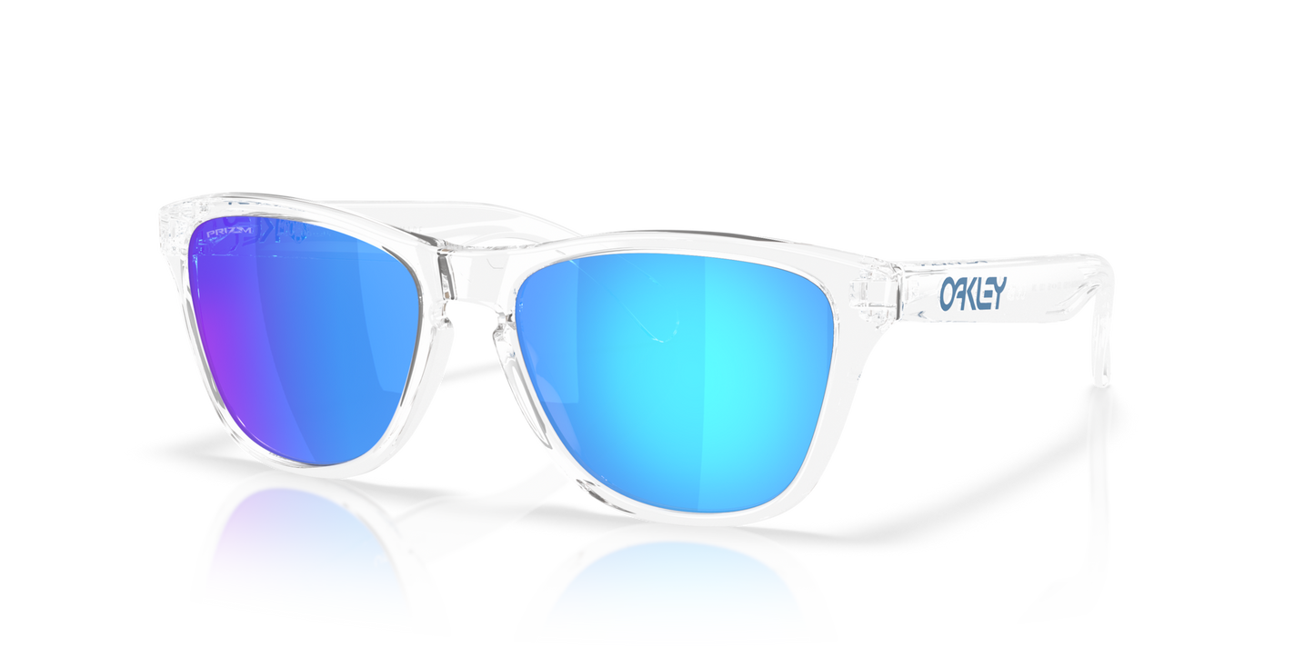 Oakley Frogskins S Glasses