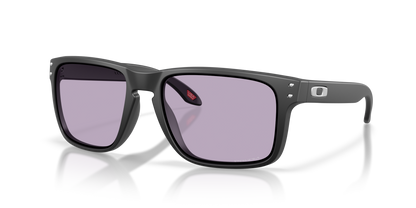 Oakley Holbrook XL Glasses