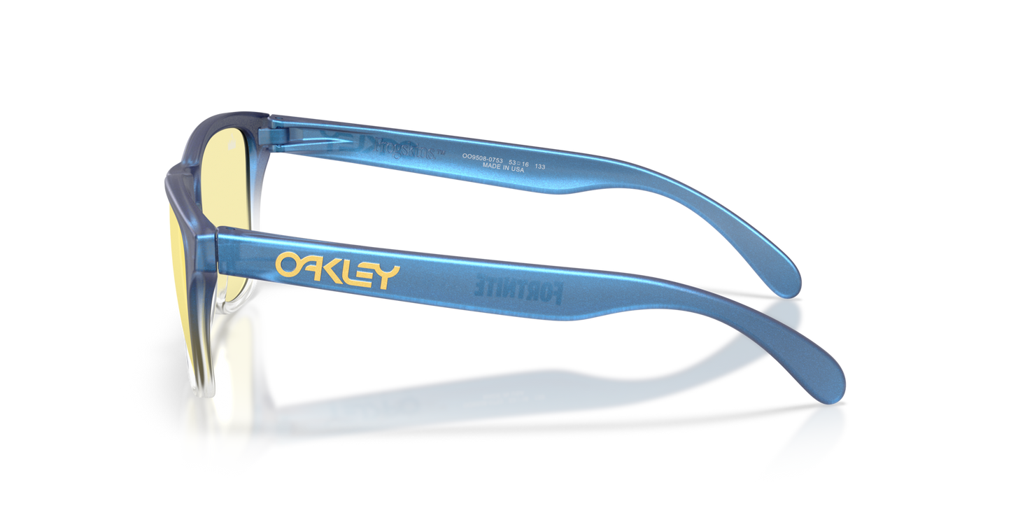 Oakley Frogskins S Glasses