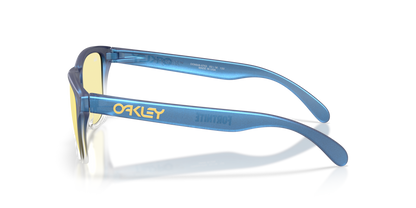 Oakley Frogskins S Glasses