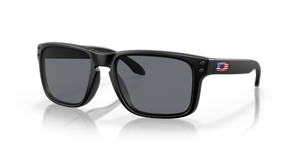 Oakley Holbrook Glasses