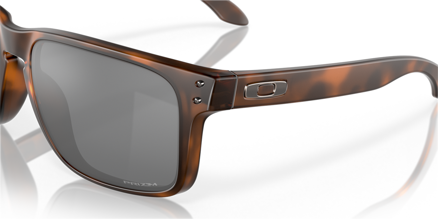 Oakley Holbrook XL Glasses
