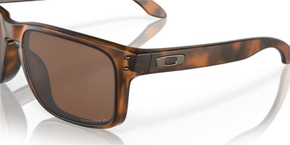 Oakley Holbrook Glasses