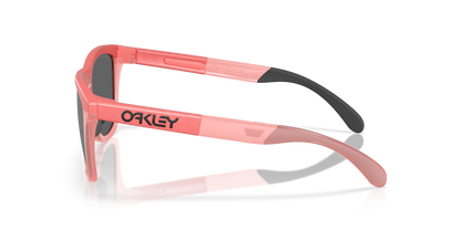 Oakley Frogskins Range Glasses