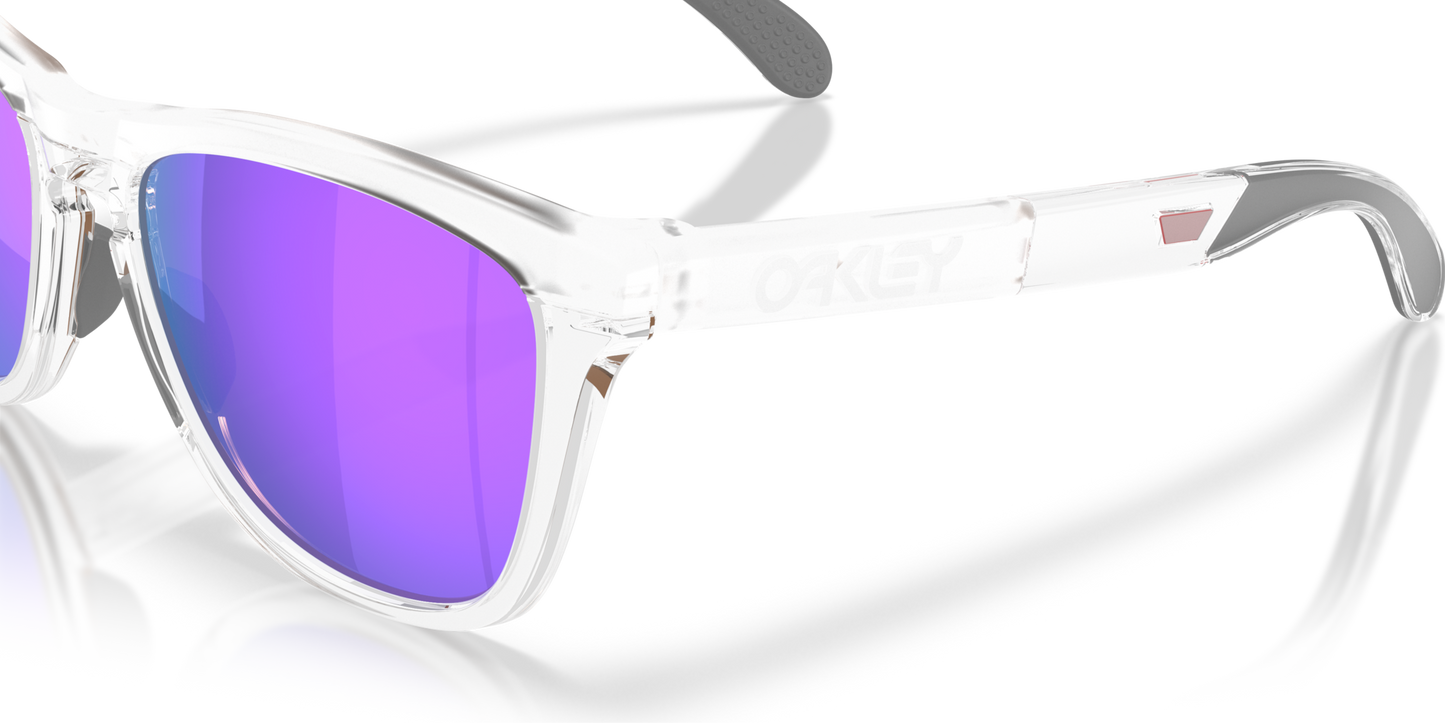 Oakley Frogskins Range XL Glasses