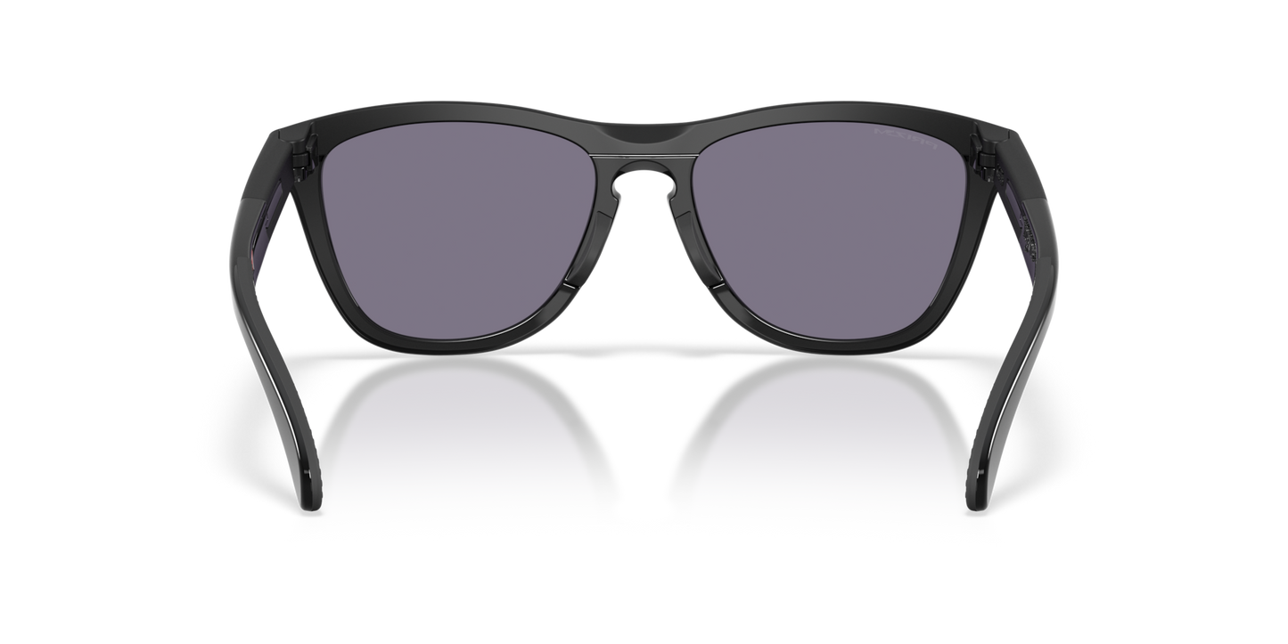 Oakley Frogskins Range XL Glasses