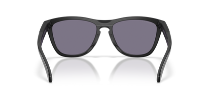 Oakley Frogskins Range XL Glasses