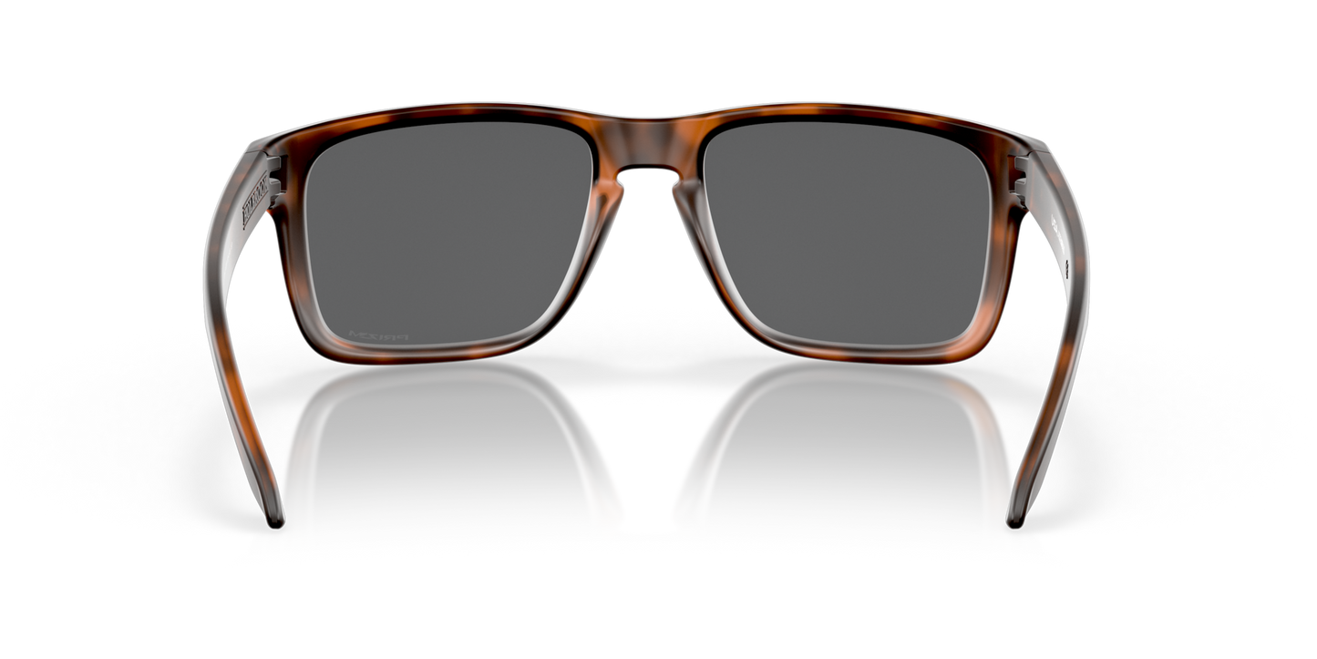 Oakley Holbrook XL Glasses