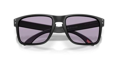 Oakley Holbrook XL Glasses