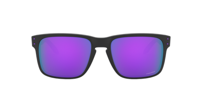 Oakley Holbrook Glasses