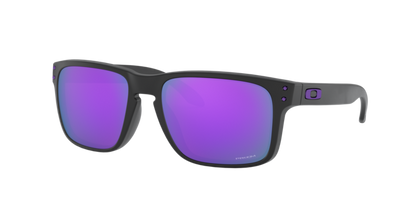 Oakley Holbrook Glasses