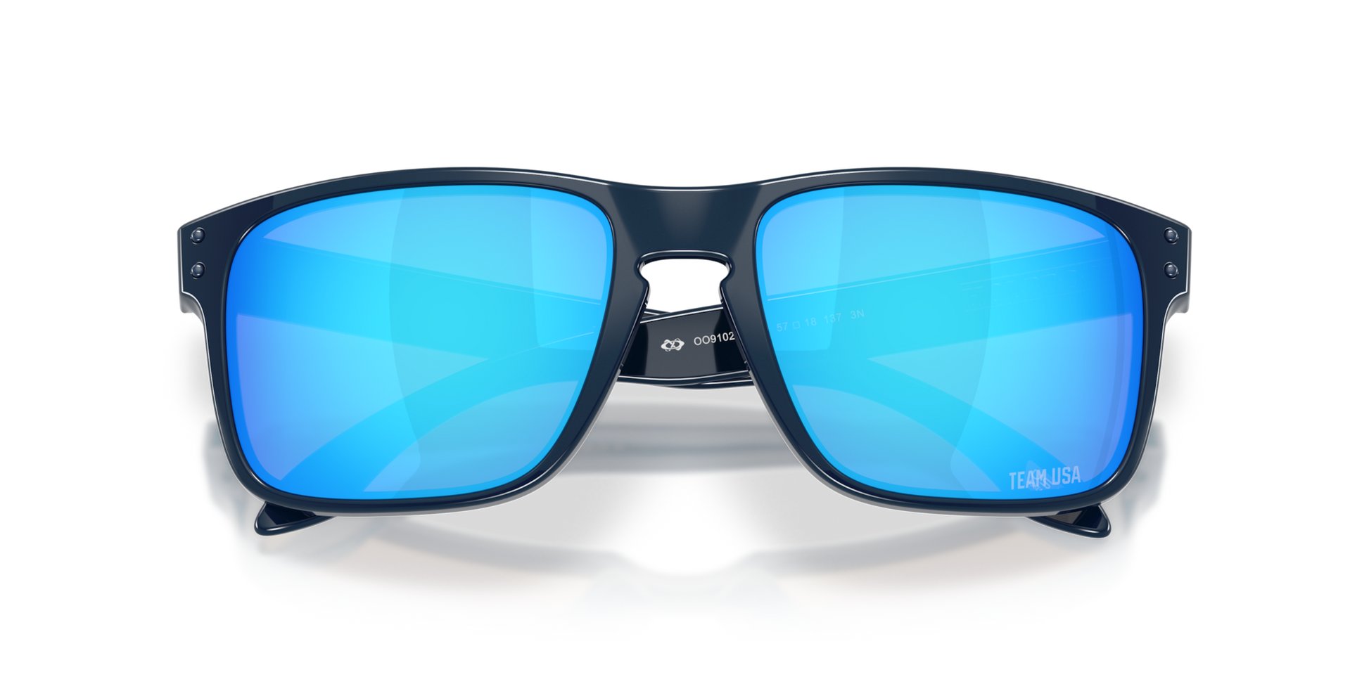 Oakley Holbrook Glasses