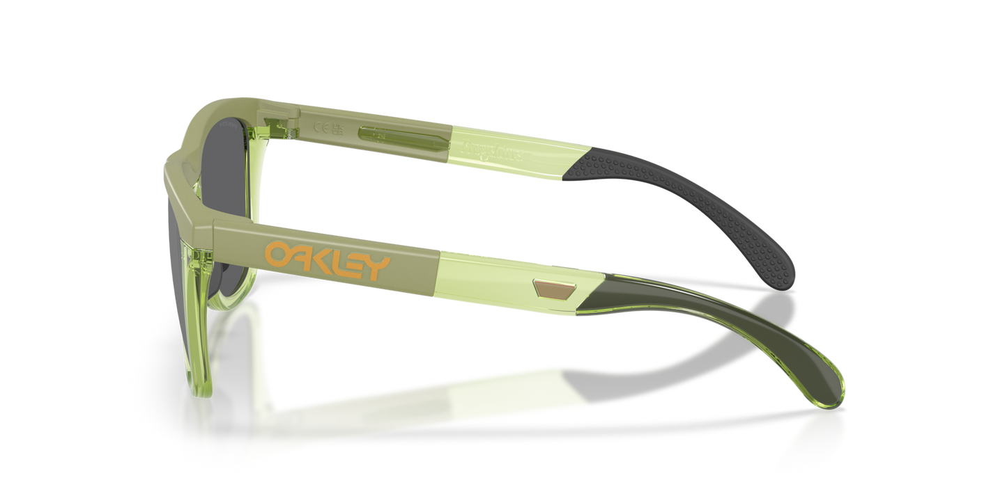 Oakley Frogskins Range XL Glasses