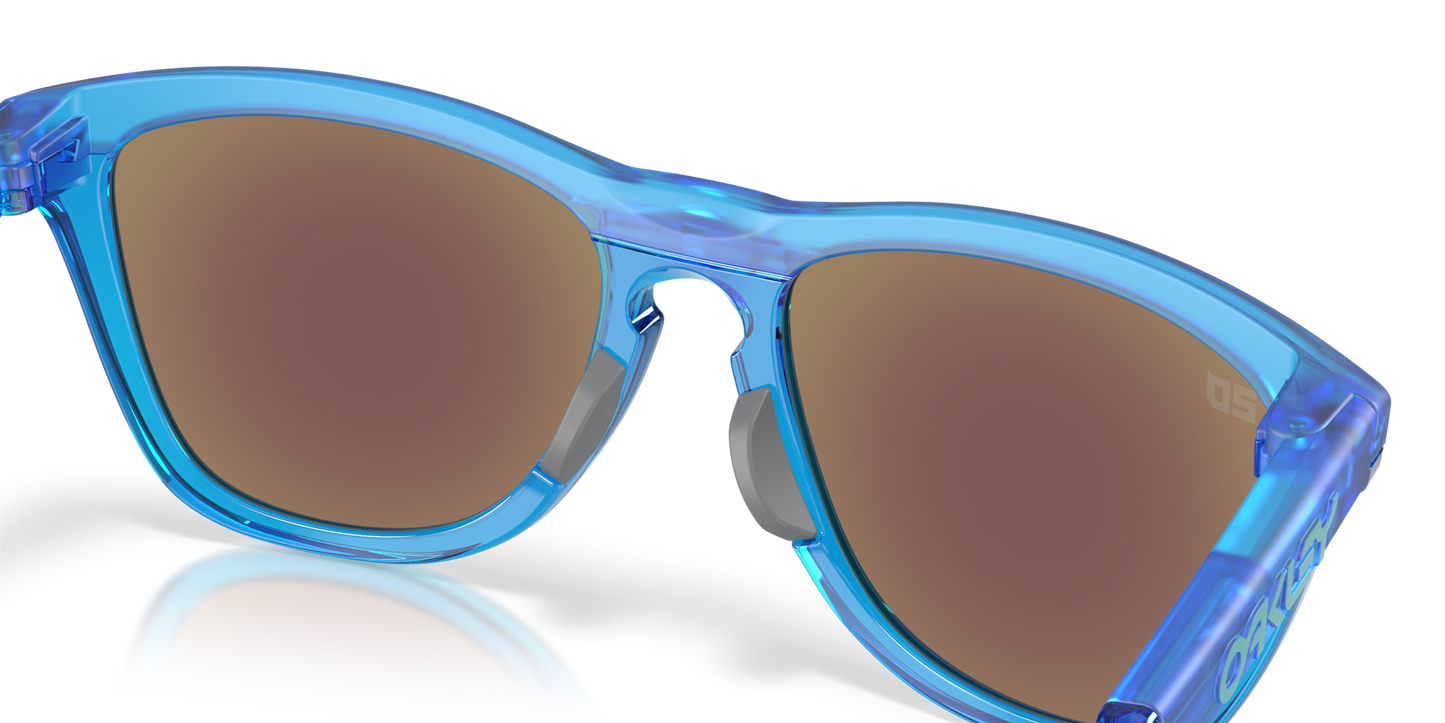 Oakley Frogskins Hybrid Glasses