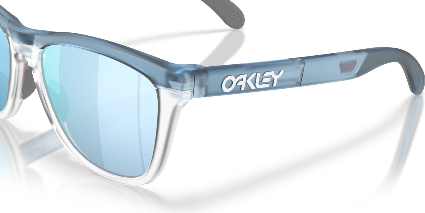 Oakley Frogskins Range XL Glasses