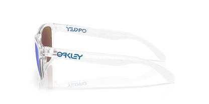 Oakley Frogskins S Glasses