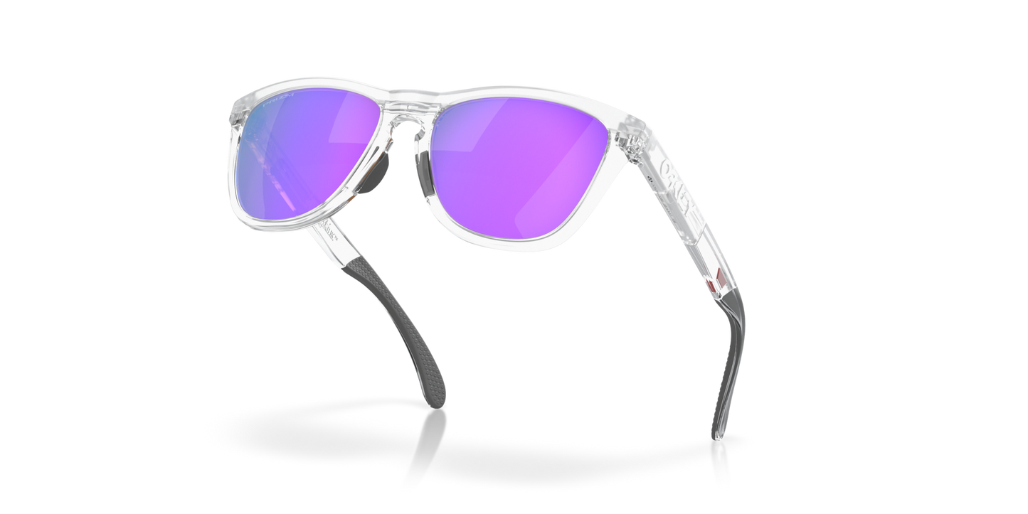 Oakley Frogskins Range Glasses