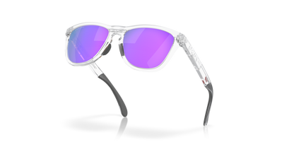 Oakley Frogskins Range Glasses