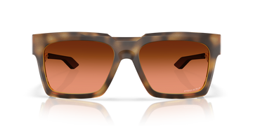 Oakley Enigma Ink Glasses